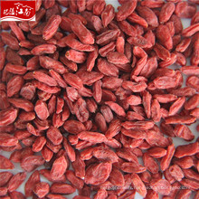 Ningxia goji berry en Chine